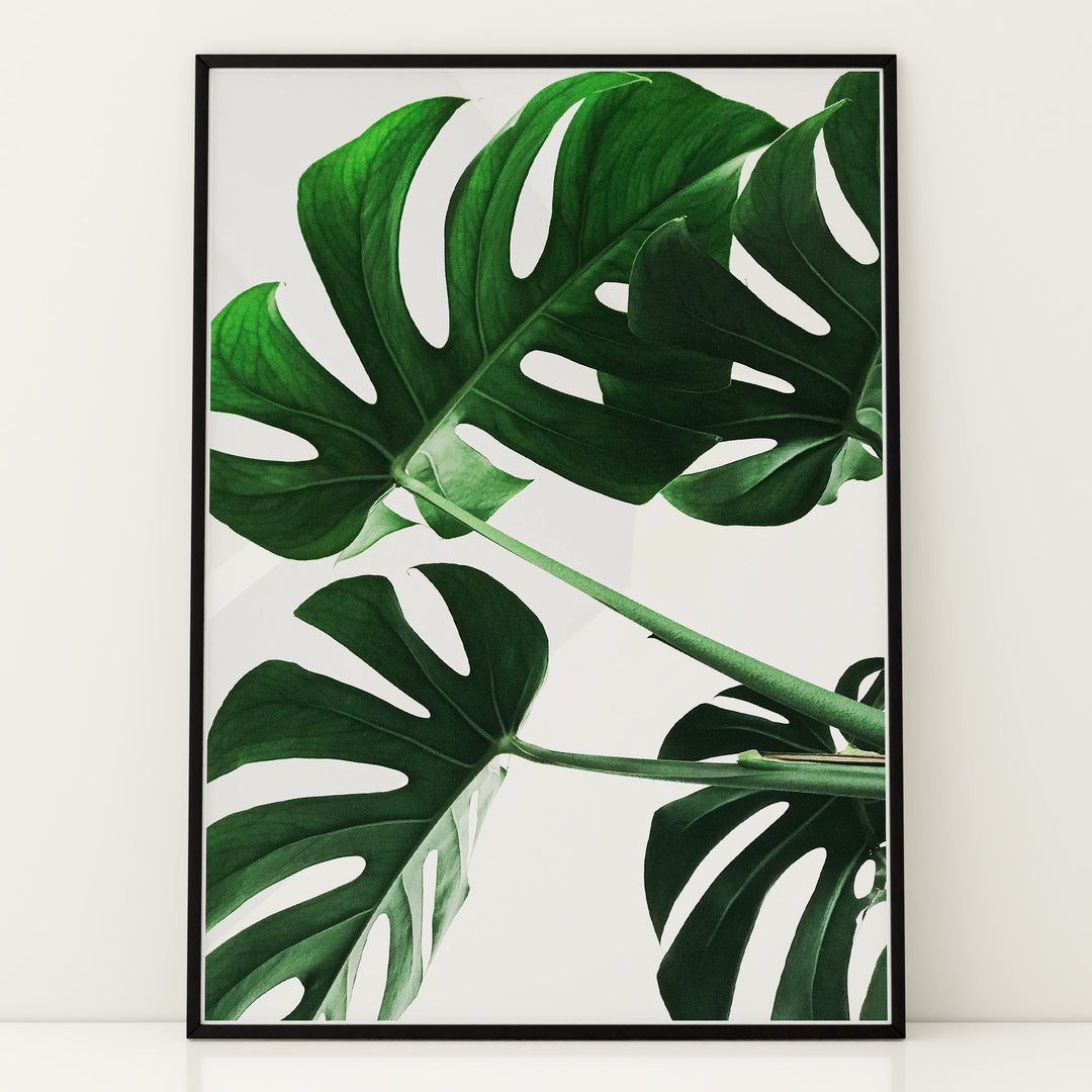 Plante plakat | Smukt print med harmoniske farver | Plakat med grønne planter, botanisk kunst og naturplanter, ideel til at tilføje et organisk og livligt præg til dit hjem.