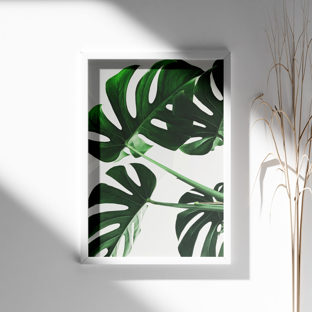 Plante plakat | Smukt print med harmoniske farver | Plakat med grønne planter, botanisk kunst og naturplanter, ideel til at tilføje et organisk og livligt præg til dit hjem.