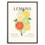 Indlæs billede til gallerivisning Illustration of colorful citrus fruits including lemons, limes, and grapefruits with green leaves, framed in black – modern lemon kitchen wall art plakat.
