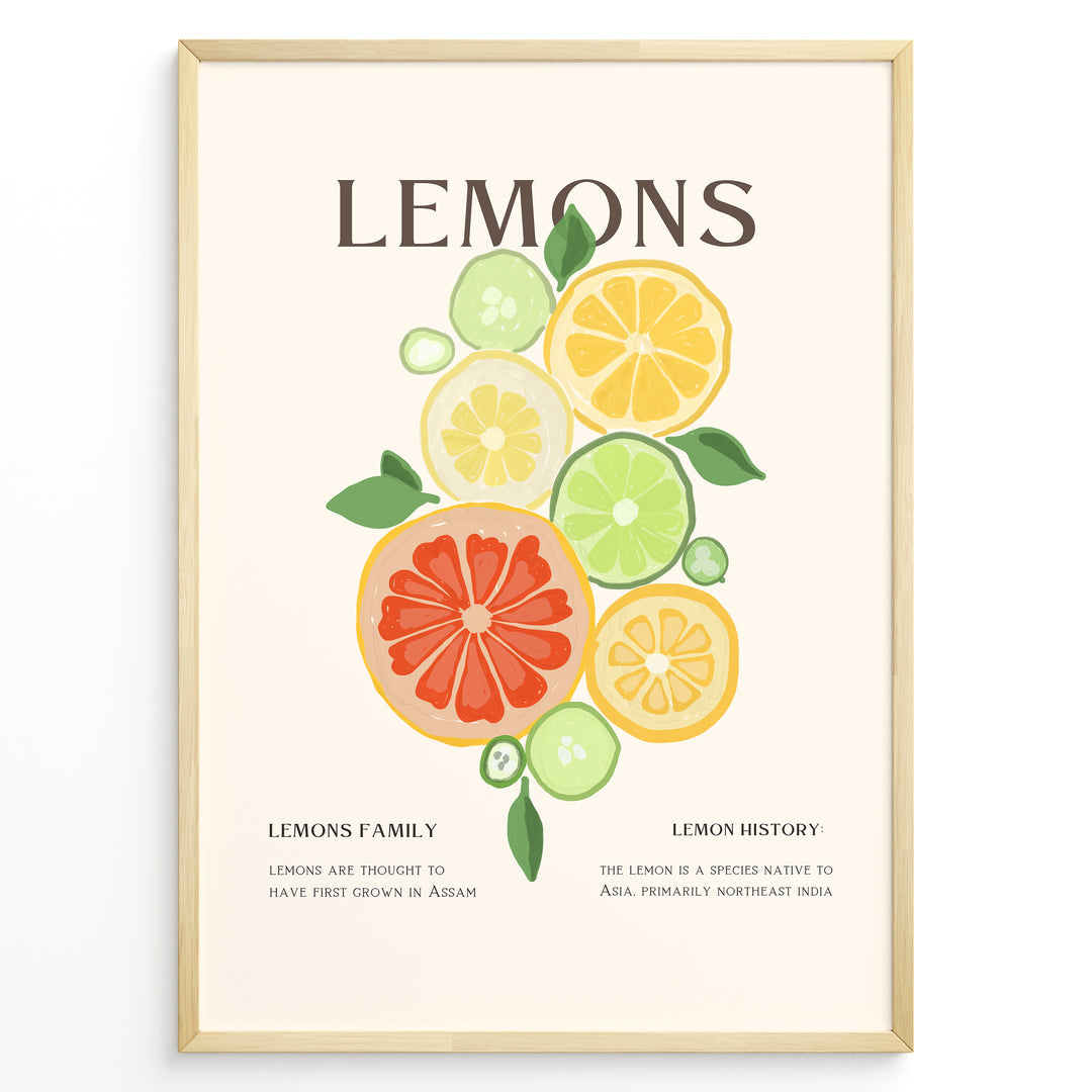 Illustration of colorful citrus fruits including lemons, limes, and grapefruits with green leaves, framed in black – modern lemon kitchen wall art plakat.