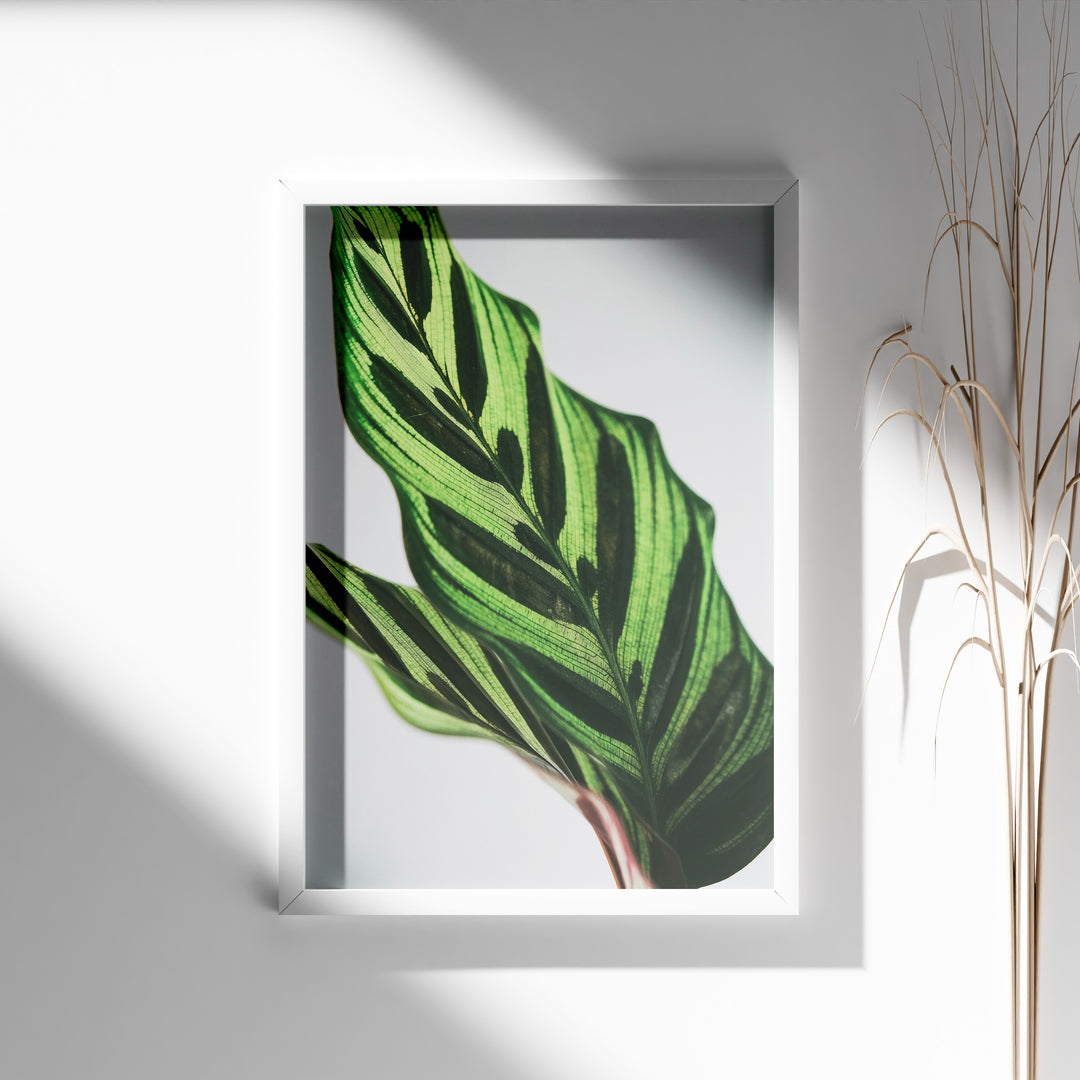 Plante plakat | Frodigt print med naturlige elementer | Plakat med grønne planter, botanisk kunst og naturplanter, ideel til at tilføje et organisk og livligt præg til dit hjem.