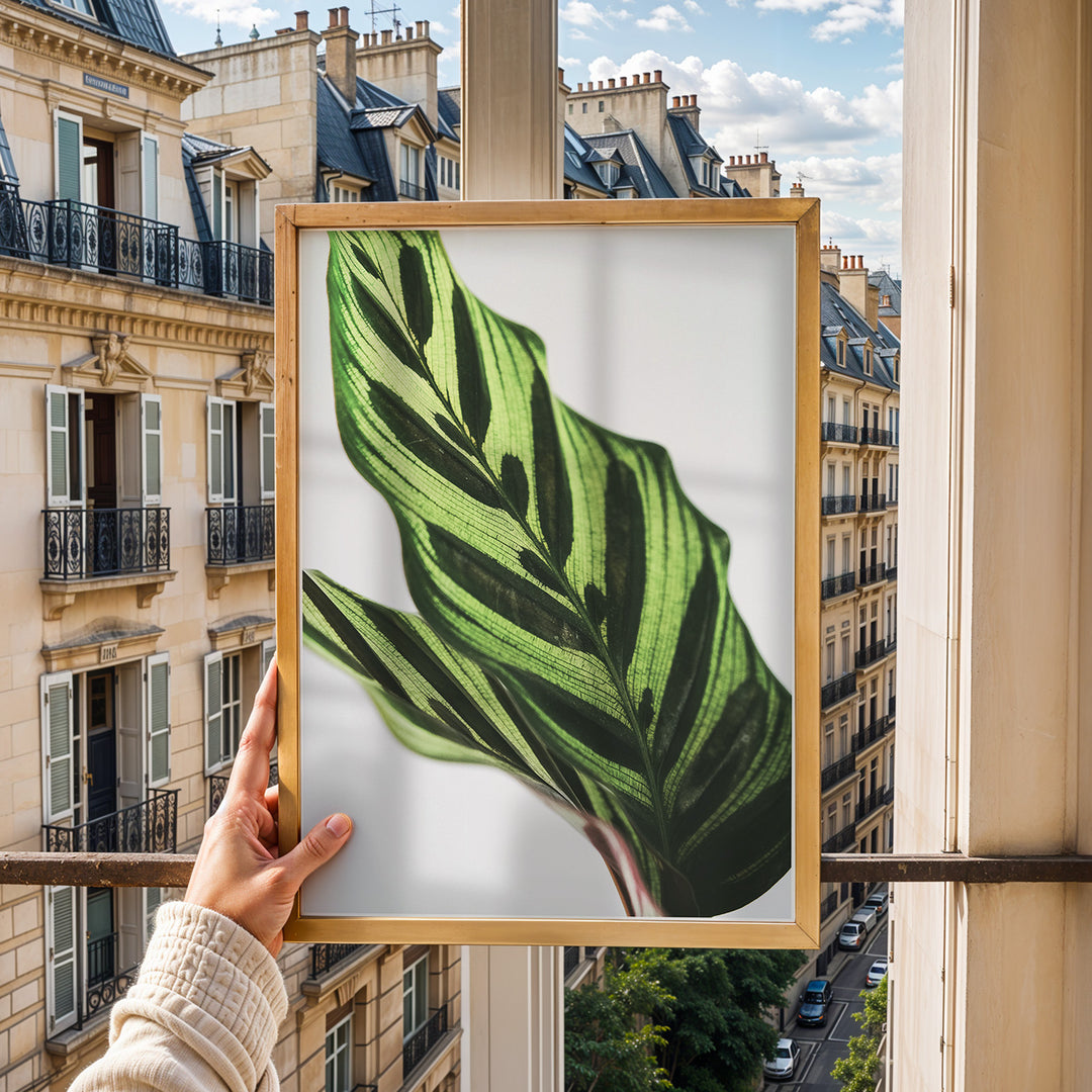 Plante plakat | Frodigt print med naturlige elementer | Plakat med grønne planter, botanisk kunst og naturplanter, ideel til at tilføje et organisk og livligt præg til dit hjem.