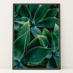 Indlæs billede til gallerivisning Plante print | Elegant plakat med delikate detaljer | Plakat med grønne planter, botanisk kunst og naturplanter, ideel til at tilføje et organisk og livligt præg til dit hjem.
