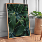 Indlæs billede til gallerivisning Plante print | Elegant plakat med delikate detaljer | Plakat med grønne planter, botanisk kunst og naturplanter, ideel til at tilføje et organisk og livligt præg til dit hjem.
