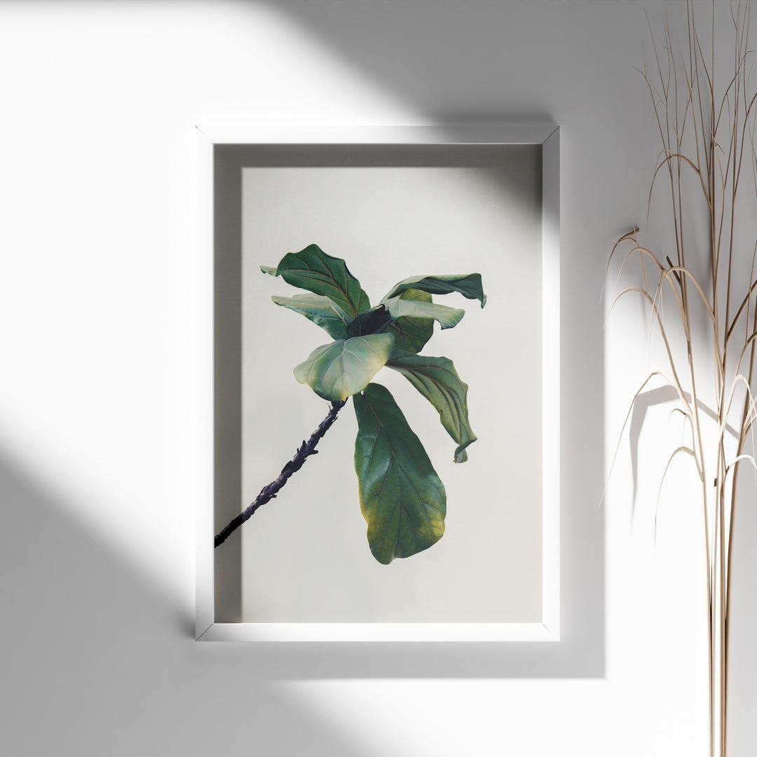 Plante plakat | Inspirerende print til dit hjem | Plakat med grønne planter, botanisk kunst og naturplanter, ideel til at tilføje et organisk og livligt præg til dit hjem.