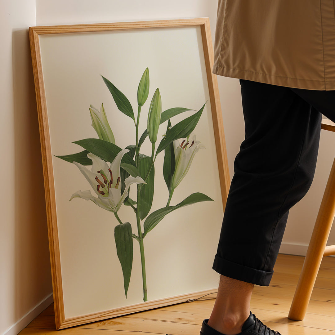 Plante print | Stilfuld plakat med grønne planter | Plakat med grønne planter, botanisk kunst og naturplanter, ideel til at tilføje et organisk og livligt præg til dit hjem.