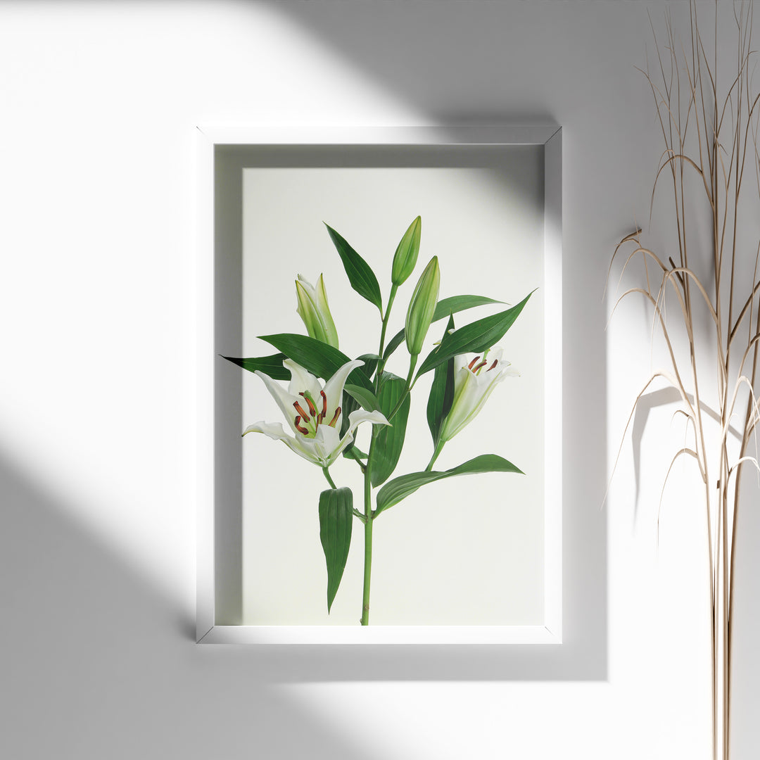 Plante print | Stilfuld plakat med grønne planter | Plakat med grønne planter, botanisk kunst og naturplanter, ideel til at tilføje et organisk og livligt præg til dit hjem.