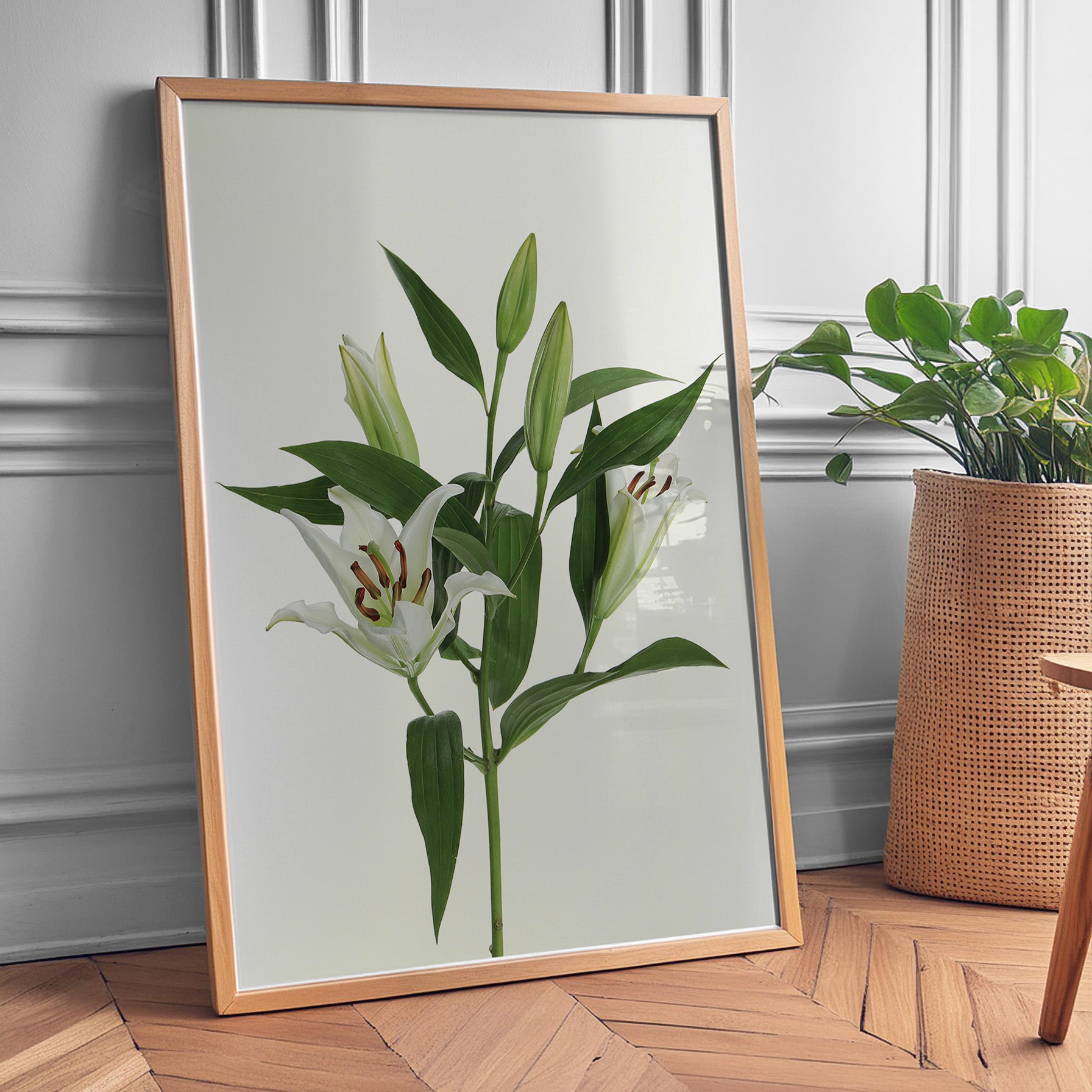 Plante print | Stilfuld plakat med grønne planter | Plakat med grønne planter, botanisk kunst og naturplanter, ideel til at tilføje et organisk og livligt præg til dit hjem.