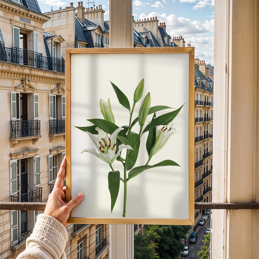 Plante print | Stilfuld plakat med grønne planter | Plakat med grønne planter, botanisk kunst og naturplanter, ideel til at tilføje et organisk og livligt præg til dit hjem.