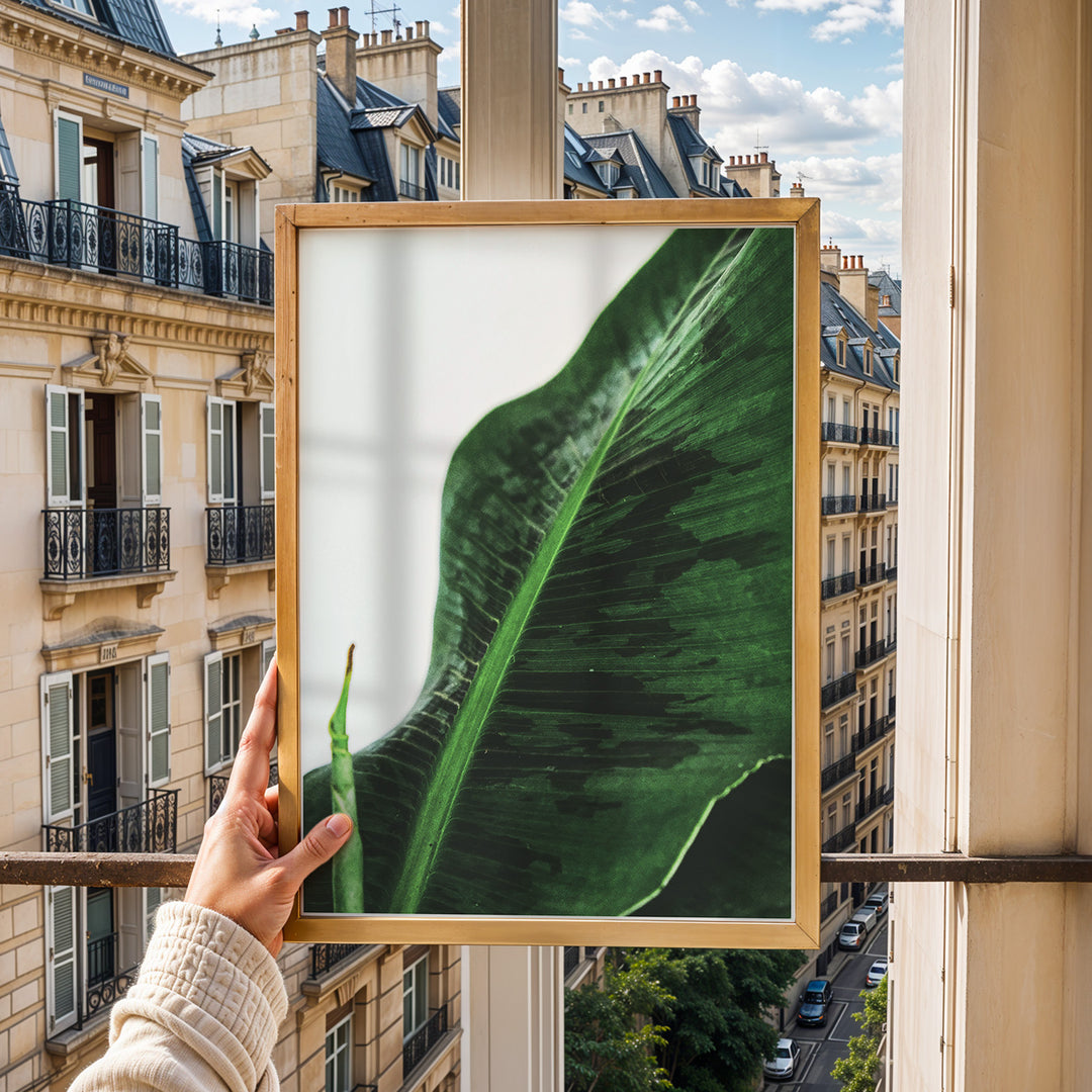 Plante plakat | Unik print der tilføjer karakter | Plakat med grønne planter, botanisk kunst og naturplanter, ideel til at tilføje et organisk og livligt præg til dit hjem.