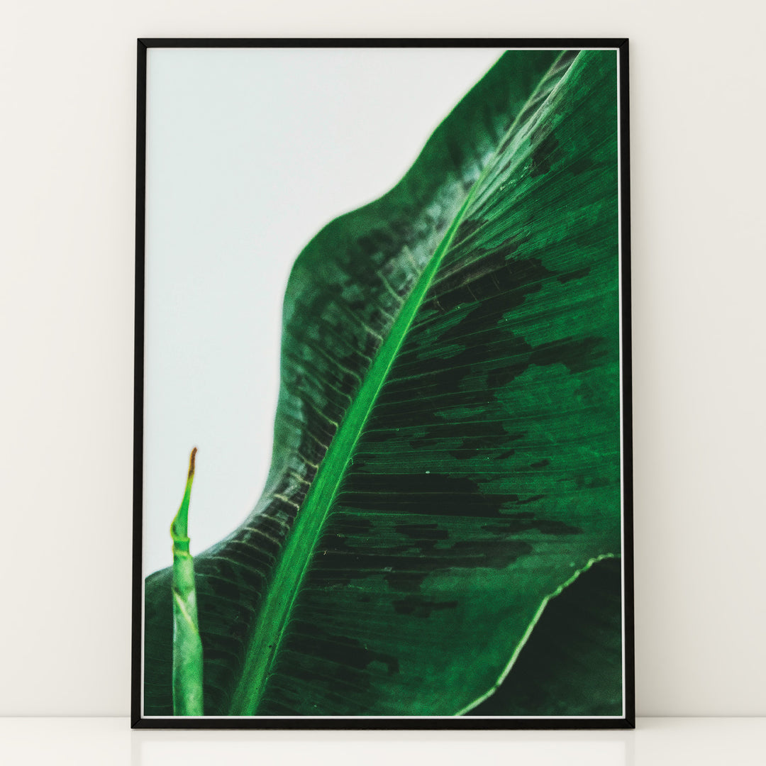 Plante plakat | Unik print der tilføjer karakter | Plakat med grønne planter, botanisk kunst og naturplanter, ideel til at tilføje et organisk og livligt præg til dit hjem.