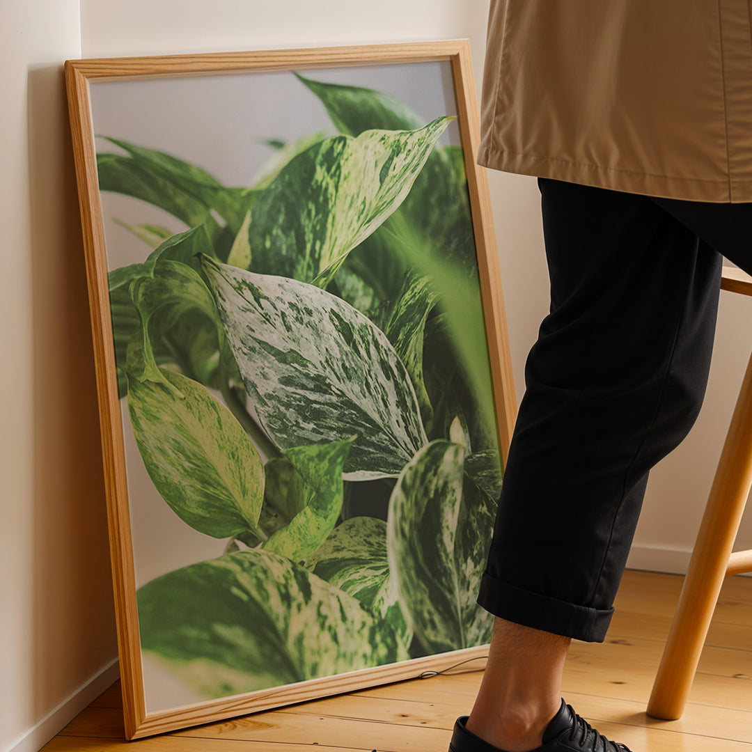 Plante print | Smuk plakat med frodige motiver | Plakat med grønne planter, botanisk kunst og naturplanter, ideel til at tilføje et organisk og livligt præg til dit hjem.