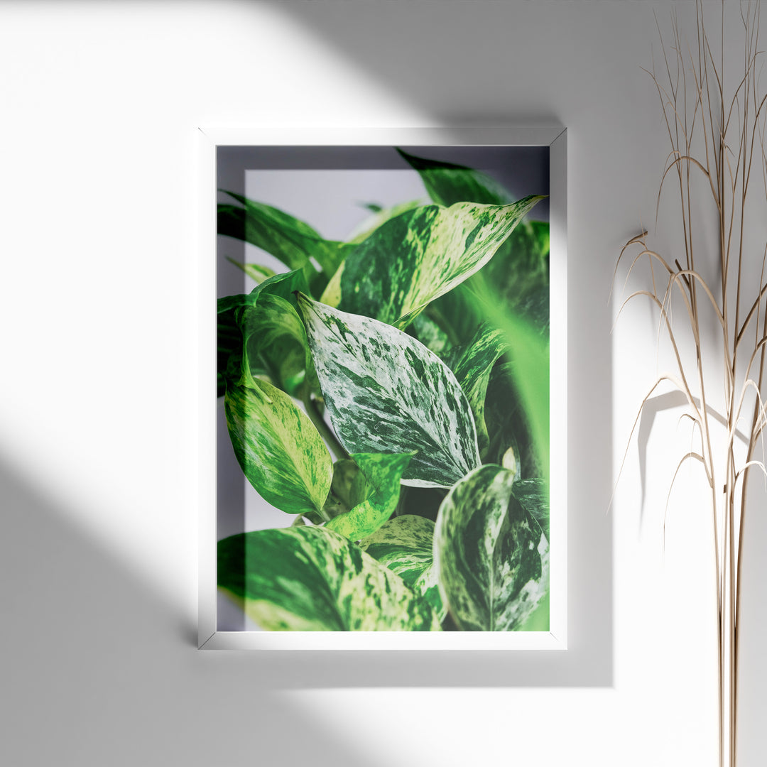 Plante print | Smuk plakat med frodige motiver | Plakat med grønne planter, botanisk kunst og naturplanter, ideel til at tilføje et organisk og livligt præg til dit hjem.