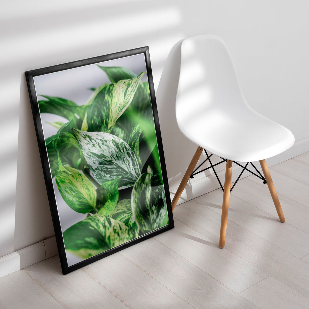 Plante print | Smuk plakat med frodige motiver | Plakat med grønne planter, botanisk kunst og naturplanter, ideel til at tilføje et organisk og livligt præg til dit hjem.