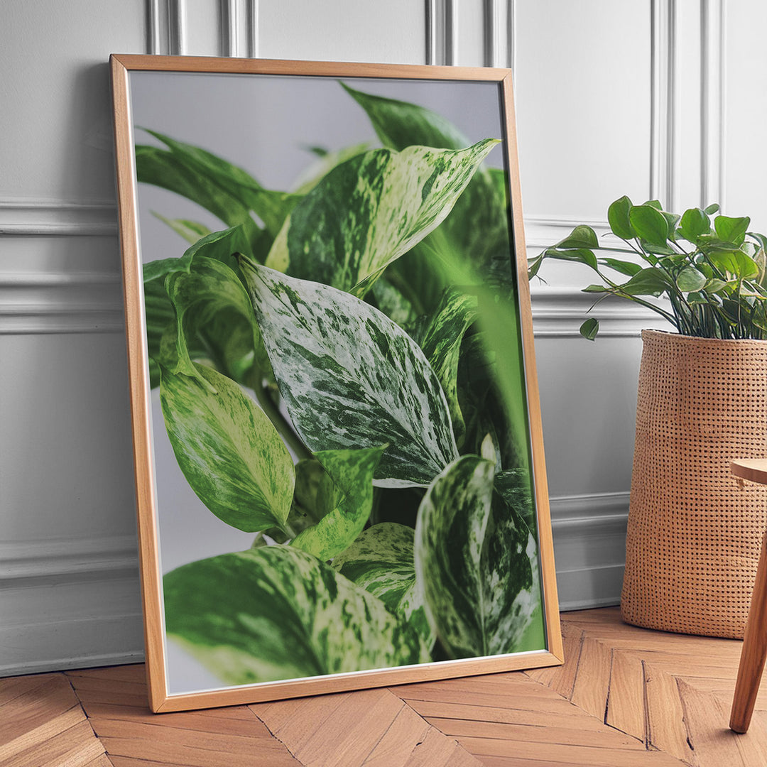 Plante print | Smuk plakat med frodige motiver | Plakat med grønne planter, botanisk kunst og naturplanter, ideel til at tilføje et organisk og livligt præg til dit hjem.