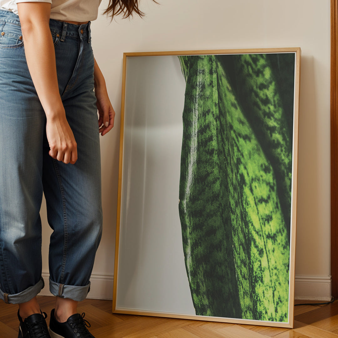 Plante plakat | Naturligt print med en moderne vinkel | Plakat med grønne planter, botanisk kunst og naturplanter, ideel til at tilføje et organisk og livligt præg til dit hjem.