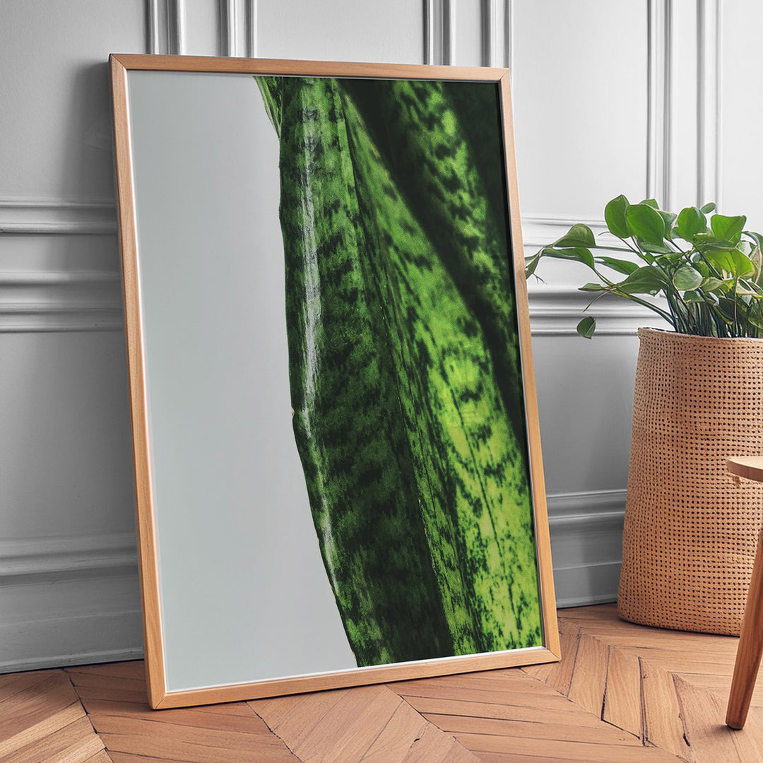 Plante plakat | Naturligt print med en moderne vinkel | Plakat med grønne planter, botanisk kunst og naturplanter, ideel til at tilføje et organisk og livligt præg til dit hjem.