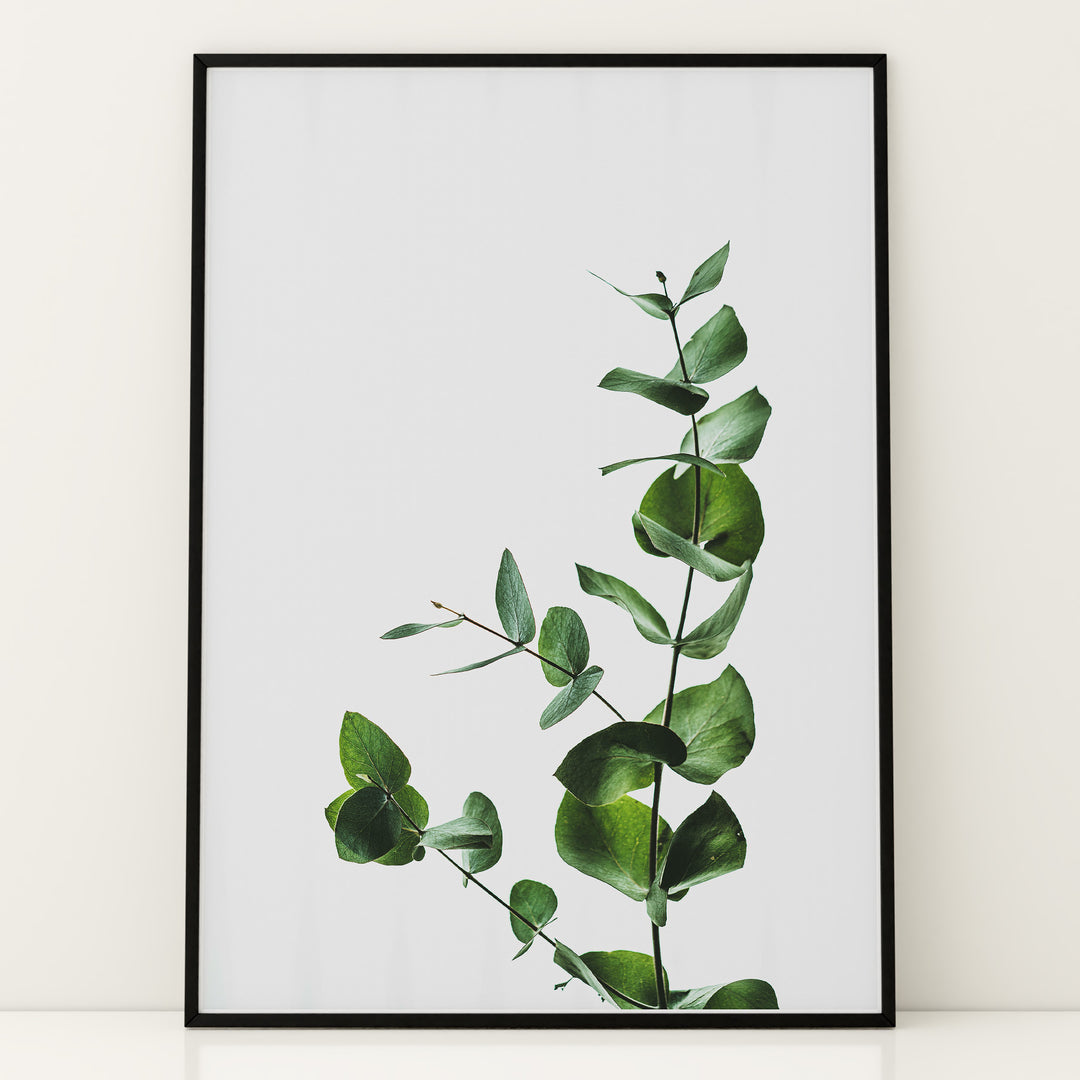 Plante print | Inspirerende plakat med skønne naturmotiver | Plakat med grønne planter, botanisk kunst og naturplanter, ideel til at tilføje et organisk og livligt præg til dit hjem.