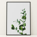 Indlæs billede til gallerivisning Plante print | Inspirerende plakat med skønne naturmotiver | Plakat med grønne planter, botanisk kunst og naturplanter, ideel til at tilføje et organisk og livligt præg til dit hjem.
