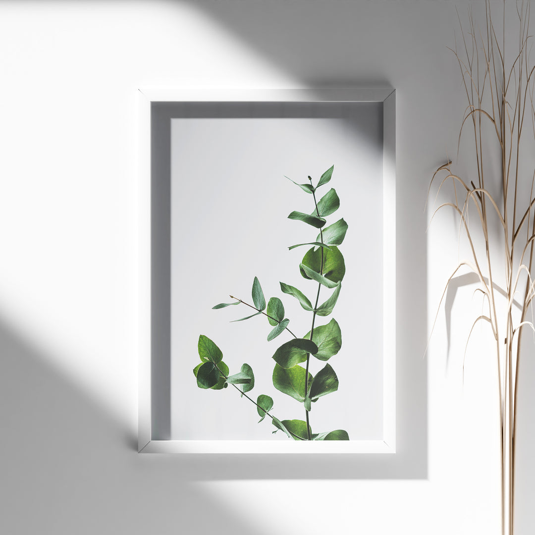 Plante print | Inspirerende plakat med skønne naturmotiver | Plakat med grønne planter, botanisk kunst og naturplanter, ideel til at tilføje et organisk og livligt præg til dit hjem.