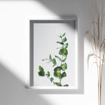 Indlæs billede til gallerivisning Plante print | Inspirerende plakat med skønne naturmotiver | Plakat med grønne planter, botanisk kunst og naturplanter, ideel til at tilføje et organisk og livligt præg til dit hjem.
