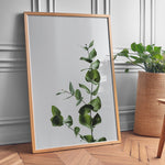 Indlæs billede til gallerivisning Plante print | Inspirerende plakat med skønne naturmotiver | Plakat med grønne planter, botanisk kunst og naturplanter, ideel til at tilføje et organisk og livligt præg til dit hjem.
