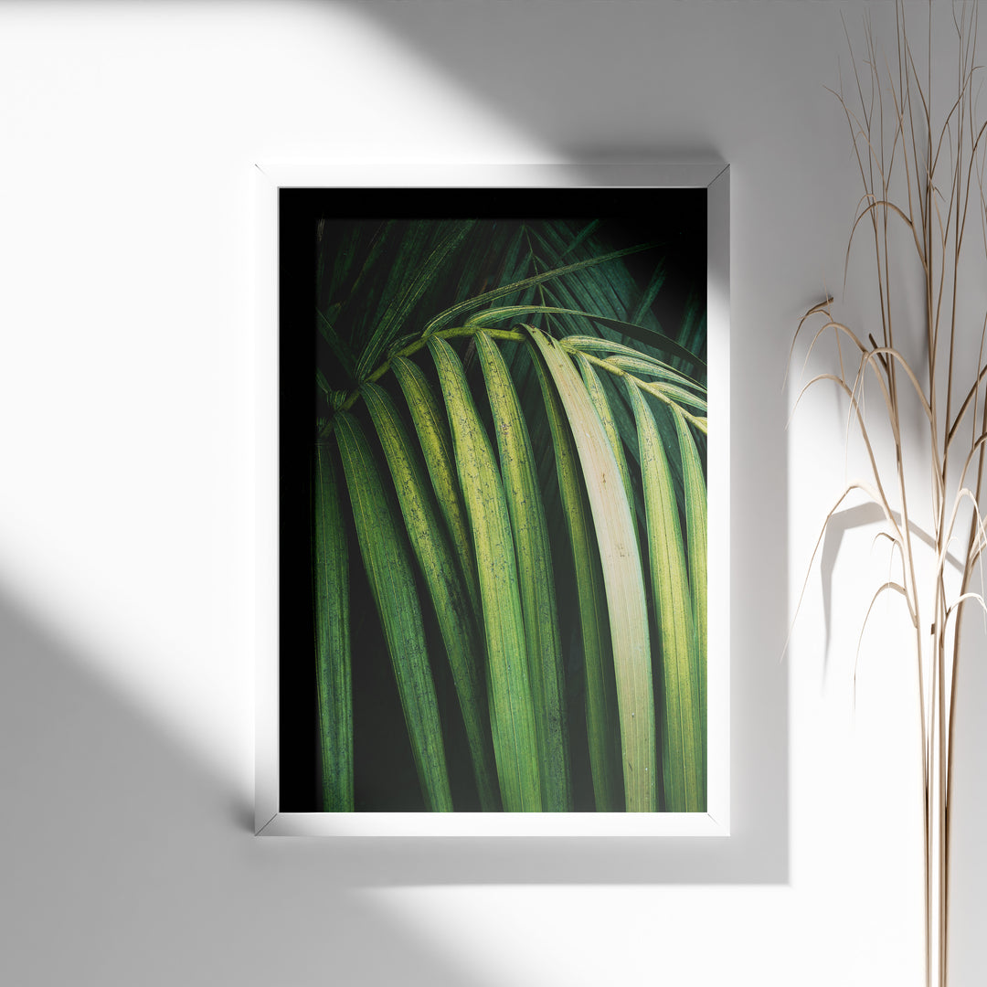 Plante print | Smuk plakat med unikke bladdesigns | Plakat med grønne planter, botanisk kunst og naturplanter, ideel til at tilføje et organisk og livligt præg til dit hjem.