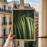 Indlæs billede til gallerivisning Plante print | Smuk plakat med unikke bladdesigns | Plakat med grønne planter, botanisk kunst og naturplanter, ideel til at tilføje et organisk og livligt præg til dit hjem.
