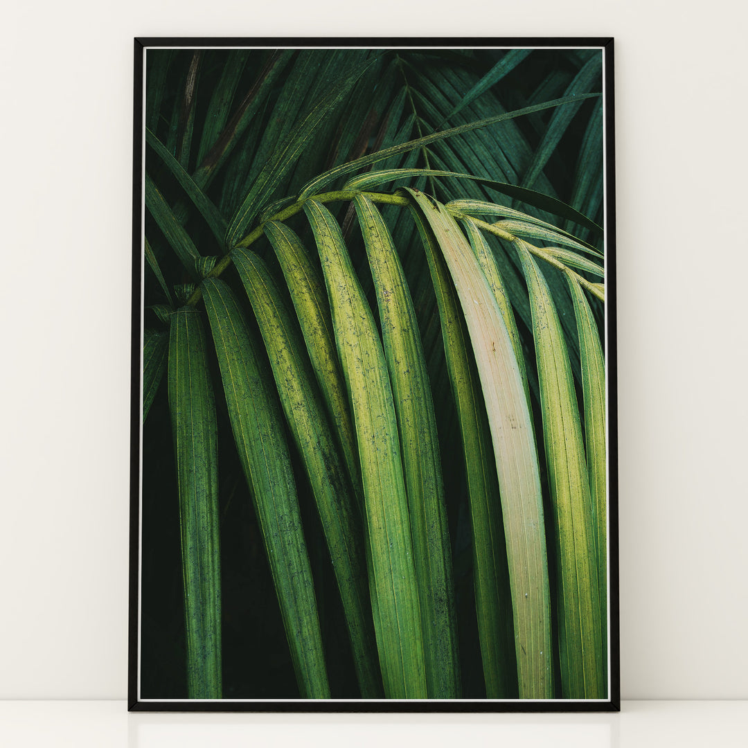 Plante print | Smuk plakat med unikke bladdesigns | Plakat med grønne planter, botanisk kunst og naturplanter, ideel til at tilføje et organisk og livligt præg til dit hjem.