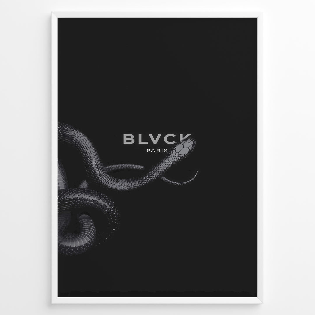 Fashion Plakat | BLVCK Paris Serpent Noir: Minimalist Snake-Inspired Wall Art Plakaty.dk | Minimalist black artwork featuring a coiled snake and the BLVCK Paris logo in the center, on a dark background.