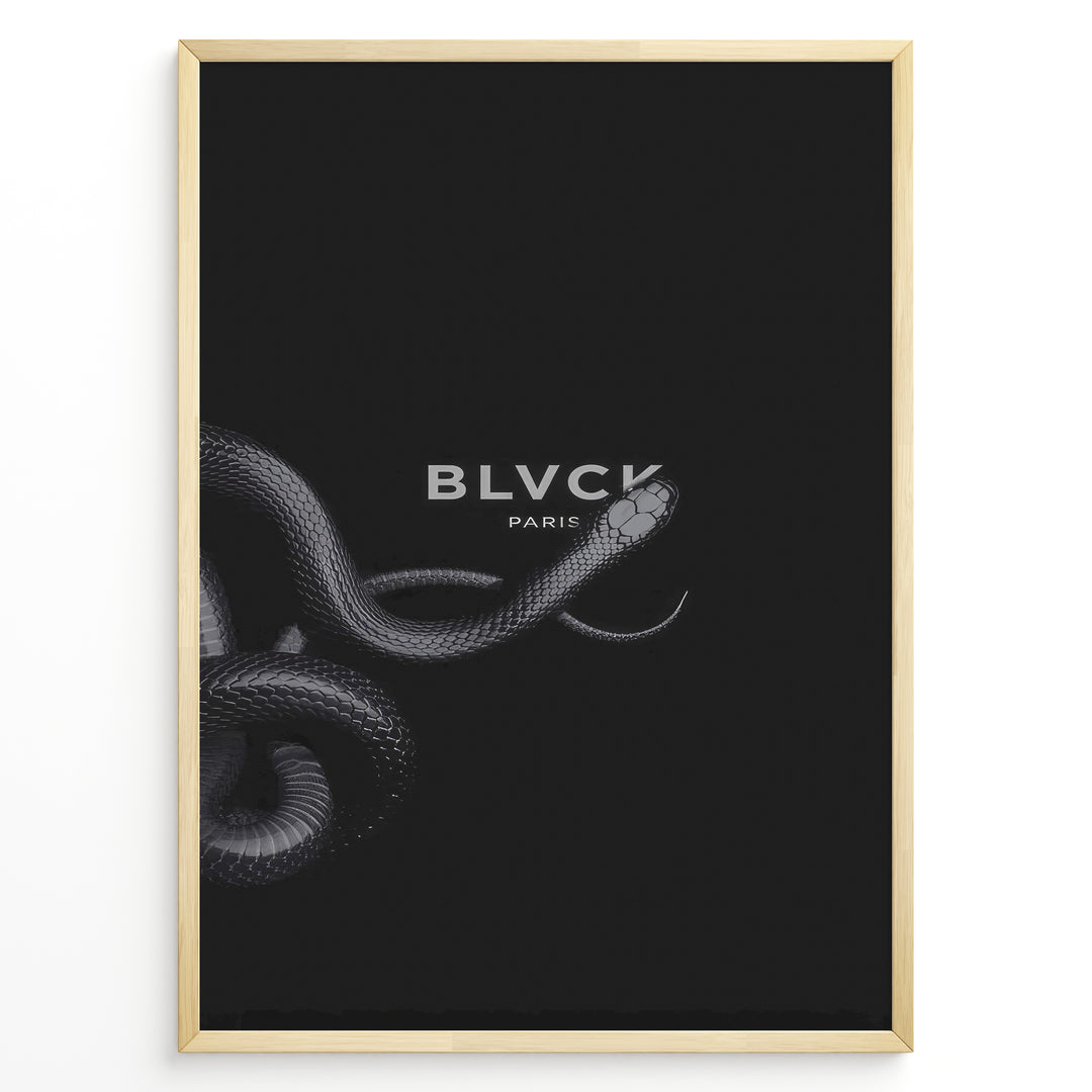Fashion Plakat | BLVCK Paris Serpent Noir: Minimalist Snake-Inspired Wall Art Plakaty.dk | Minimalist black artwork featuring a coiled snake and the BLVCK Paris logo in the center, on a dark background.