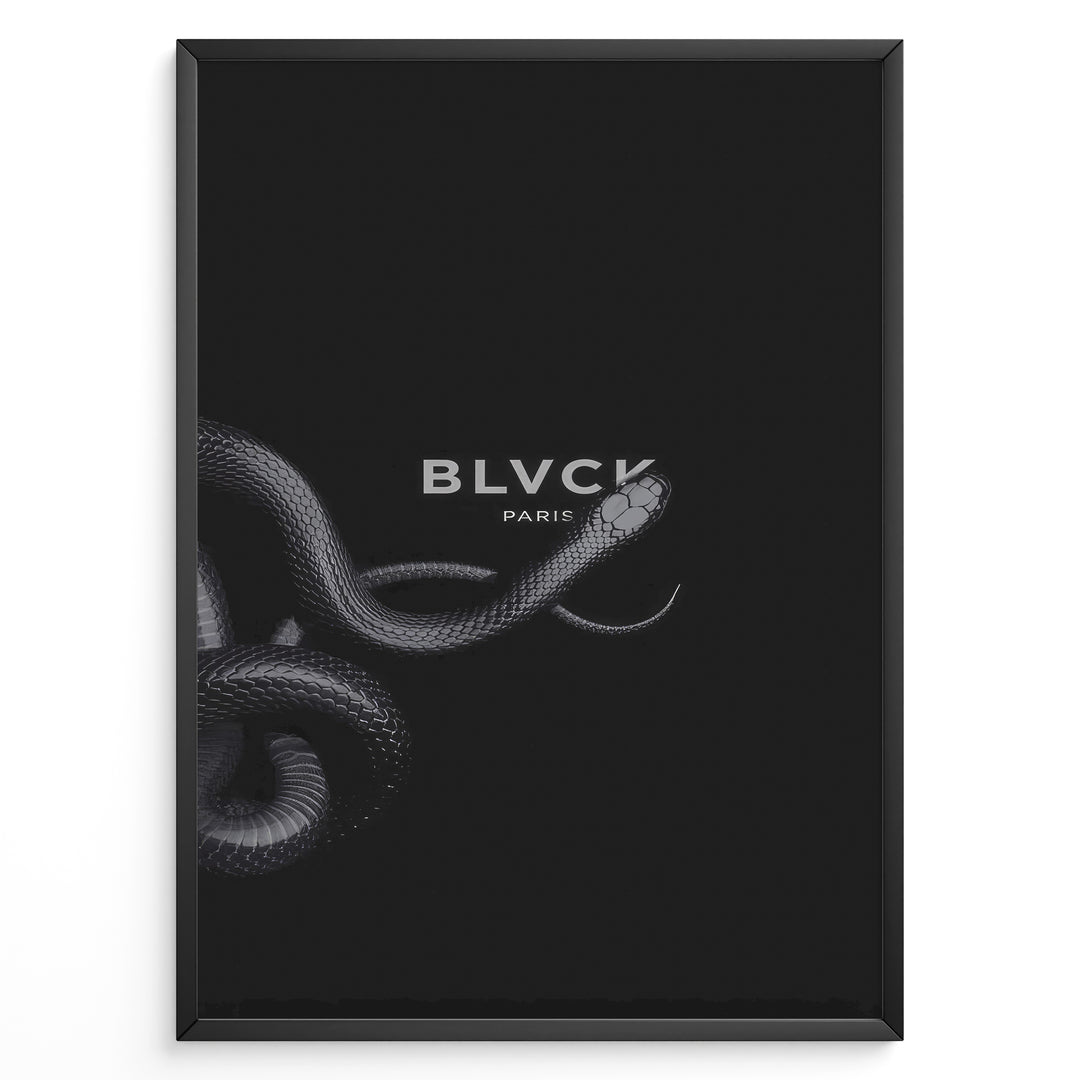 Fashion Plakat | BLVCK Paris Serpent Noir: Minimalist Snake-Inspired Wall Art Plakaty.dk | Minimalist black artwork featuring a coiled snake and the BLVCK Paris logo in the center, on a dark background.