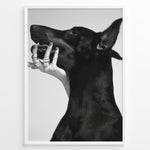 Indlæs billede til gallerivisning Fashion Plakat | Black and White Fashion Art Print – Dog with Hand Adorned in Rings Plakaty.dk | Black and white artistic photo of a black dog with a human hand wearing multiple rings gently placed on its jaw.
