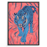Indlæs billede til gallerivisning Japanske plakater | Modern pop art illustration of a blue tiger walking forward on a vivid coral-red background with black stripes, framed in black.
