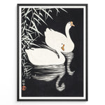 Indlæs billede til gallerivisning Framed Japanese Ukiyo-e style art poster showing two white swans gliding on dark water with bamboo leaves above.
