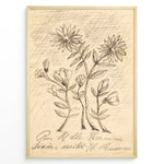 Indlæs billede til gallerivisning Framed vintage botanical sketch poster with hand-drawn flowers and cursive handwriting on an aged beige background.
