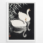 Indlæs billede til gallerivisning Japanese vintage art print of two white swans swimming among reeds on a dark background in a black frame.
