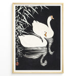Indlæs billede til gallerivisning Japanese vintage art print of two white swans swimming among reeds on a dark background in a black frame.
