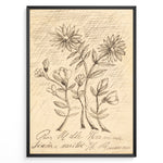 Indlæs billede til gallerivisning Vintage floral sketch art print with hand-drawn flowers and handwritten text on aged beige paper in a black frame.

