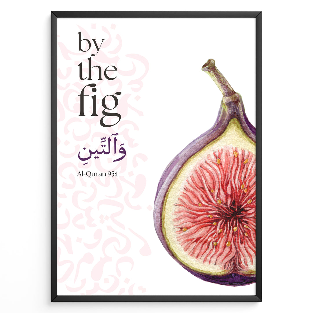 Figen plakat med botanisk illustration og engelsk samt arabisk typografi inspireret af Koranens frugter