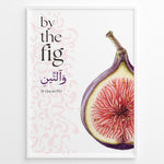 Indlæs billede til gallerivisning Figen plakat med botanisk illustration og engelsk samt arabisk typografi inspireret af Koranens frugter
