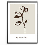 Indlæs billede til gallerivisning Framed minimalist botanical poster with dark brown hand-drawn plant on a beige background and the word “Botanique” written below.
