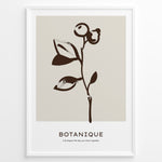Indlæs billede til gallerivisning Framed minimalist botanical poster with dark brown hand-drawn plant on a beige background and the word “Botanique” written below.
