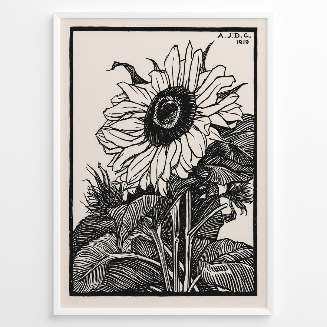 Framed vintage black and white sunflower botanical poster with intricate line art detailing and 1919 inscription.