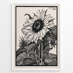 Indlæs billede til gallerivisning Framed vintage black and white sunflower botanical poster with intricate line art detailing and 1919 inscription.

