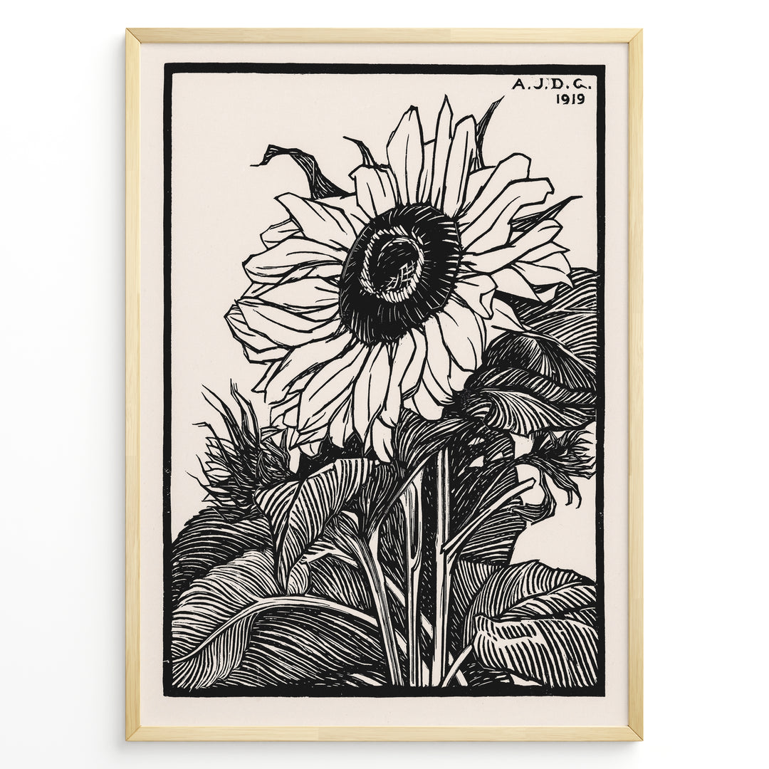 Framed vintage black and white sunflower botanical poster with intricate line art detailing and 1919 inscription.