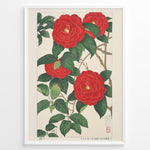 Indlæs billede til gallerivisning Japanske plakater |   Traditional Japanese botanical art print of red camellia flowers with green leaves in a black frame.
