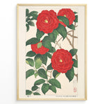 Indlæs billede til gallerivisning Japanske plakater |   Traditional Japanese botanical art print of red camellia flowers with green leaves in a black frame.
