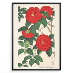 Indlæs billede til gallerivisning Japanske plakater |   Traditional Japanese botanical art print of red camellia flowers with green leaves in a black frame.
