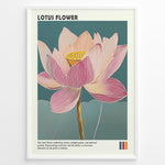 Indlæs billede til gallerivisning Plakater | Framed artistic illustration of a lotus flower with pink and cream petals on a teal background, accompanied by a description about its symbolism of purity, enlightenment, and spiritual growth.
